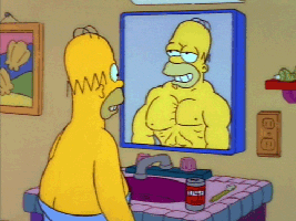 homer mirror